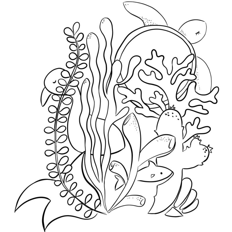 Coloriage - EYA Coloriage tortue de mer, fond marin, EYA. Collection DENADDA.