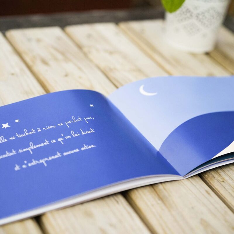 Livre - Au sommet Conte illustré pour enfants 8ans avec Au somment de la collection DENADDA