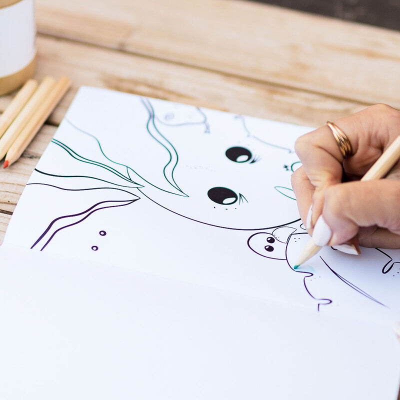 Livre de coloriage - EYA Livre de coloriage pour enfant et adulte avec la petite tortue EYA. Collection DENADDA.