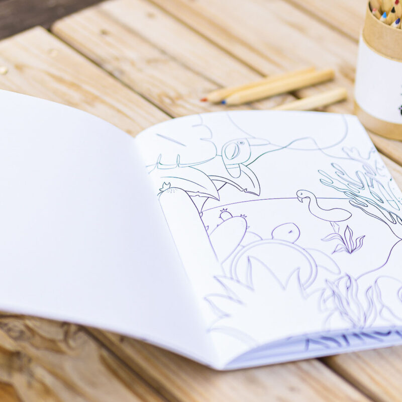 Livre de coloriage - EYA Magnifique livre de coloriage pour enfant sur l'océan avec EYA et ses crayons de couleur. Collection DENADDA.