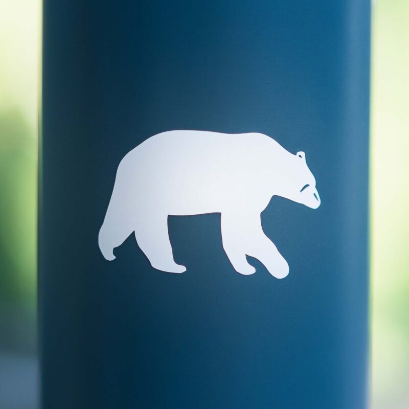 Thermos isotherme - La souplesse est une force - L'ours KIKI Ours blanc KIKI de DENADDA avec la collection de thermos isotherme stainless bleu